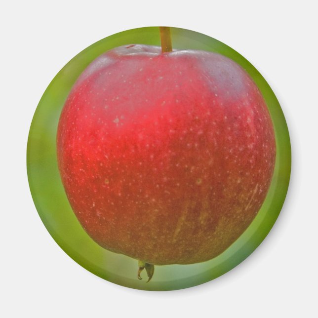 Íman Apple Summer Red (Frente)