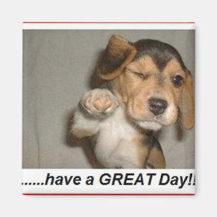 Íman aprecie o ímã do dia