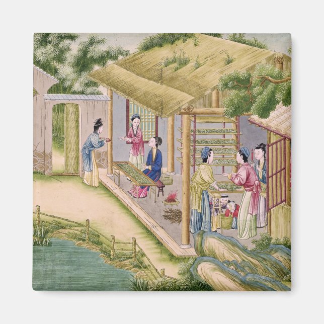 Íman Aprendendo sobre os bichos-da-seda (Frente)