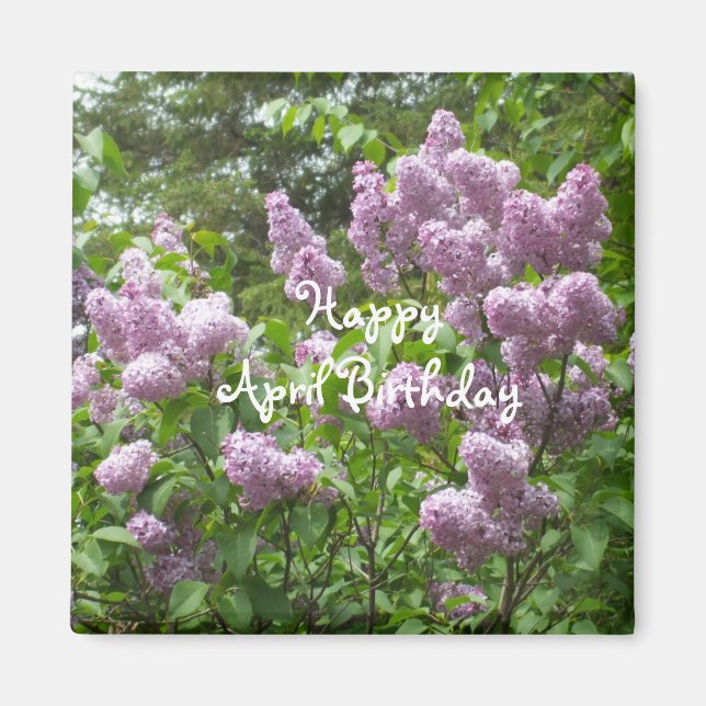 Íman April Birthday-Lilac Bush (Frente)