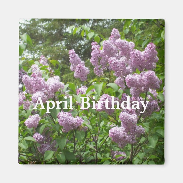 Íman April Birthday-Lovely Lilac Bush (Frente)