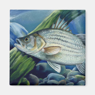 Íman APROVAÇÃO Bowles 2008 1036 alto