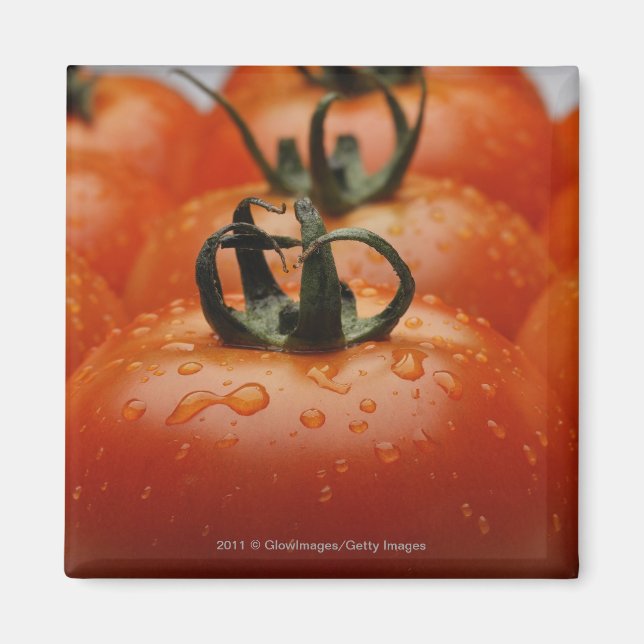 Íman Aproximação dos tomates 2 (Frente)