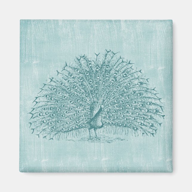 Íman Aqua Peacock (Frente)