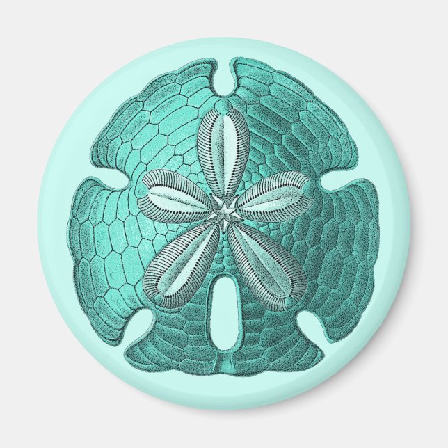 Íman Aqua Sand Dollar (Frente)