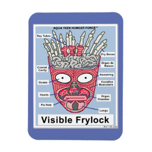 Íman Aqua Teen Fome Force Visible Frylock Poster
