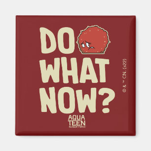 Íman Aqua Teen Hunger Force Meatwad "Faça o quê agora?"