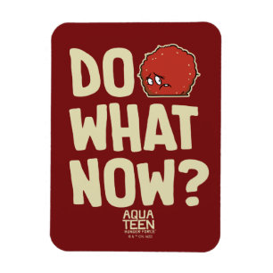 Íman Aqua Teen Hunger Force Meatwad "Faça o quê agora?"