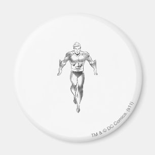 Íman Aquaman Executa BW