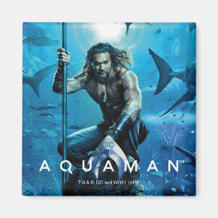 Íman Aquaman Prince Orin Com Animais Aquáticos