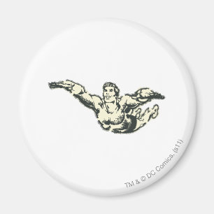 Íman Aquaman Soars BW