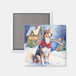 Íman Aquarela Cão Pastor Belga Natal de Inverno