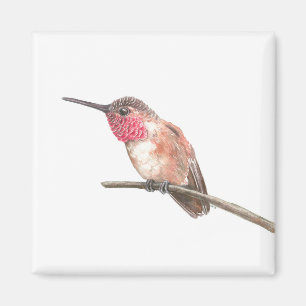 Íman Aquarela de passarinho