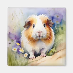 Íman Aquarela Delicada De Porco-Guiné
