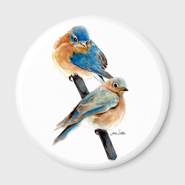 Íman Aquarela do Casal Bluebird (Bluebird Couple Watercolor Magnet from Jenn Steffen Art.)