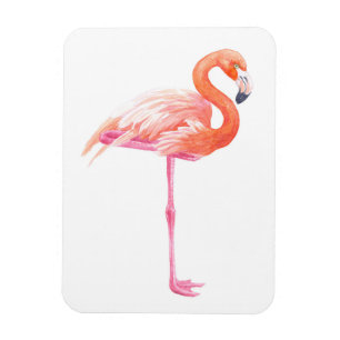Íman Aquarela Flamingo
