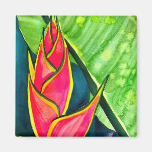 Íman Aquarela heliconia flor tropical