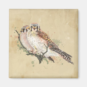 Íman Aquarela Kestrel Bird Birdwatch Art