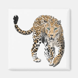 Íman aquarela leopardo gato da selva animal pintado ver