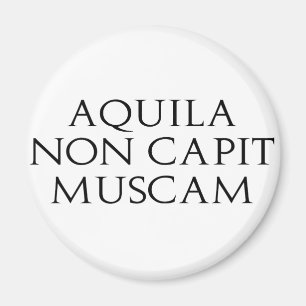 Íman Aquila não Capit Muscam