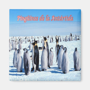 Íman AR - Argentina - Pinguins na Antártica