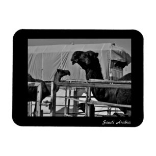 Íman Arábia Saudita