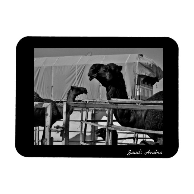 Íman Arábia Saudita (Horizontal)