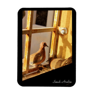 Íman Arábia Saudita