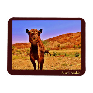 Íman Arábia Saudita