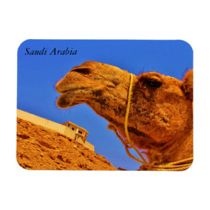 Íman Arábia Saudita