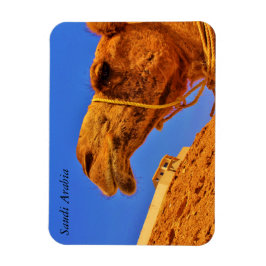 Íman Arábia Saudita