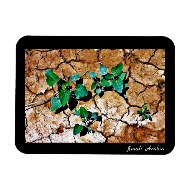 Íman Arábia Saudita (Horizontal)