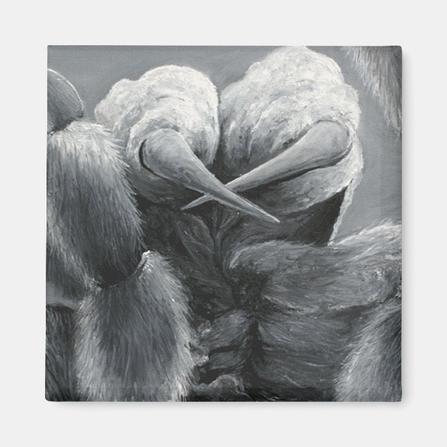 Íman Araneide (Frente)