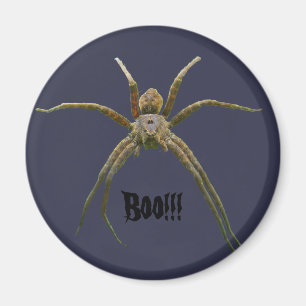 Íman Aranha