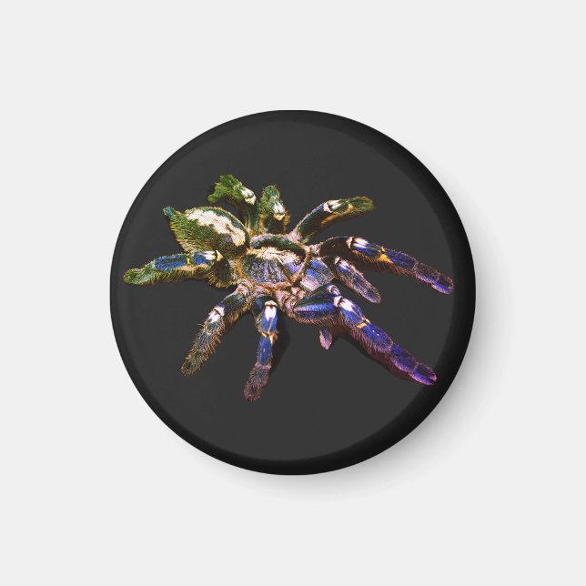 Íman Aranha azul/vermelha/laranja/preta (Frente)