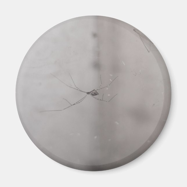 Íman aranha-cega cosmopolita (Frente)