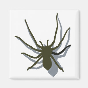 Íman Aranha com ímã da sombra
