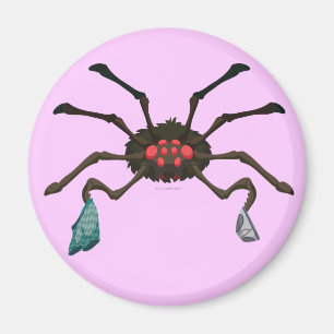 Íman Aranha da lavanderia