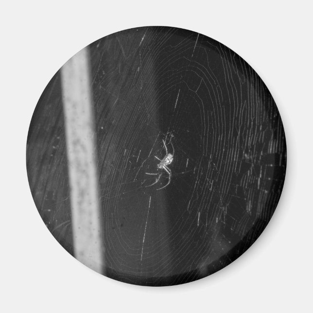 Íman Aranha de porão (Frente)