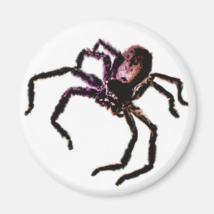 Íman Aranha do caçador