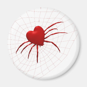 Íman Aranha Engraçado Orb-Weaver