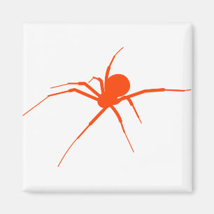 Íman Aranha Laranja