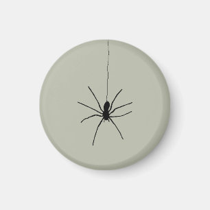 Íman Aranha-Pinta Preta sobre a Cor da Cinza da Cinza