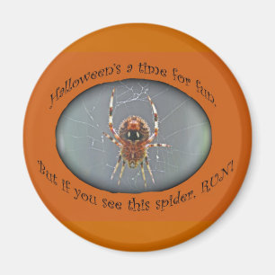 Íman Aranha Tecelã Araneus Ímã de Halloween