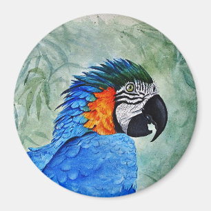 Íman Arara Azul e Dourada