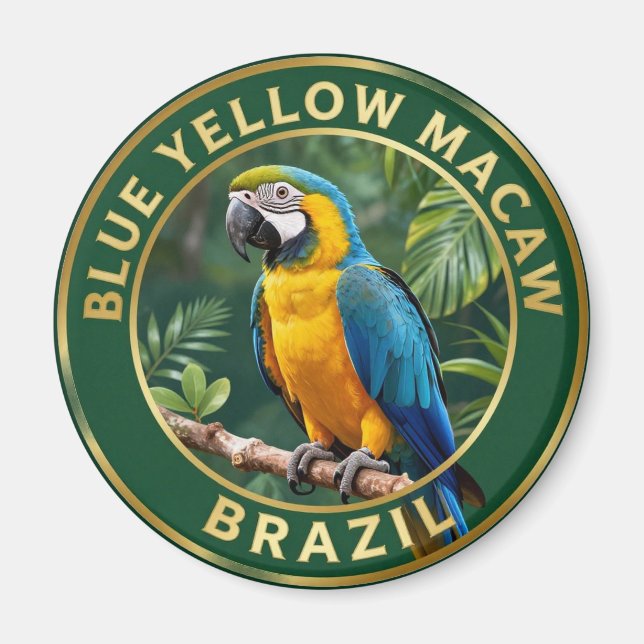 Íman 🦜 Arara Canindé Brasil Ave Tropical (Frente)
