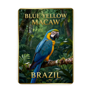 Íman 🦜 Arara-canindé Floresta Tropical Brasileira