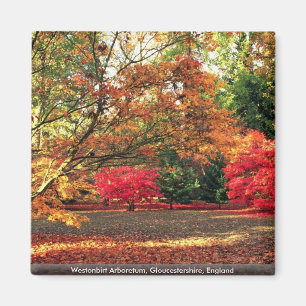 Íman Arboreto de Westonbirt, Gloucestershire,