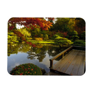 Íman Arboreto, Jardim Japonês, Seattle, Washington,