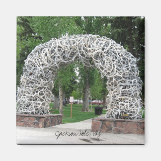 Íman Arch de Jackson Hole Antler